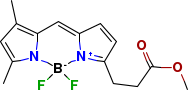 3-Bodipy-丙酸甲酯