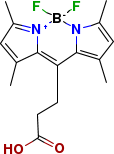 BODIPY 493/503C3