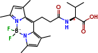 (S)-10-(3-((1-Carboxy-2-methylpropyl)amino)-3-oxopropyl)-5,5-difluoro-1,3,7,9-tetramethyl-5Hdipyrrolo[1,2-c:2',1'-f][1,3,2]diazaborinin-4-ium-5-uide