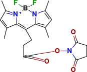 BODIPY 493/503C3 NHS Ester